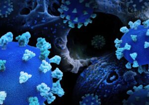 Creative rendition of SARS-CoV-2 (colorized blue and teal), and a background image that is a colorized scanning electron micrograph of a cell infected with the Omicron strain of the virus. Note: not to scale. Courtesy of NIAID